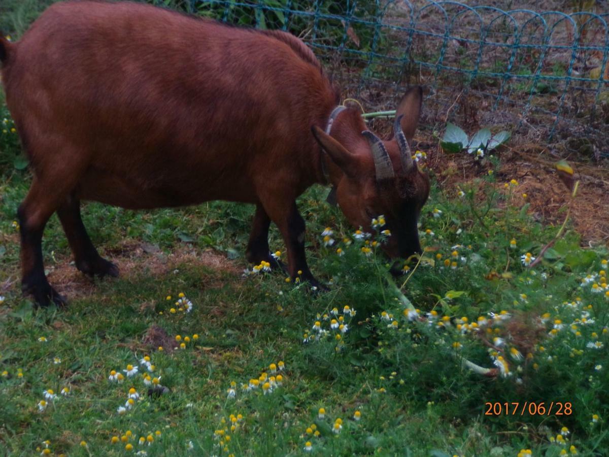 Camping Du Creulet Crouay Exterior foto